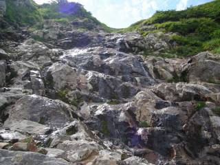 DSC03389.jpg