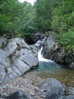 DSC03415.jpg
