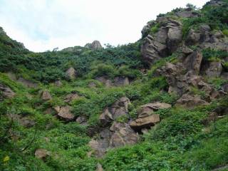 DSC03464.jpg