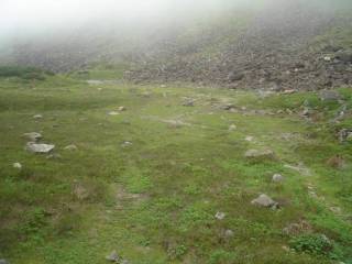DSC03530.jpg