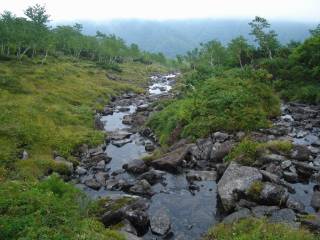 DSC03533.jpg