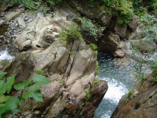 DSC03548.jpg