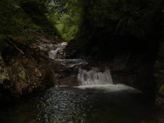 DSC03583.jpg