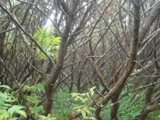 DSC03612.jpg
