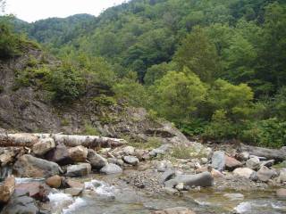 DSC03409.jpg