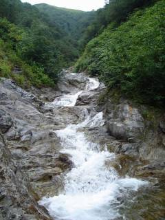 DSC03428.jpg