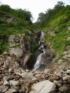 DSC03439.jpg