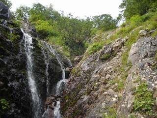 DSC03442.jpg