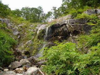 DSC03443.jpg