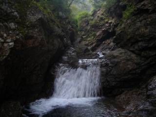 DSC03752.jpg