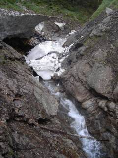 DSC03756.jpg