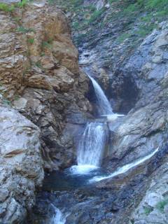 DSC03786.jpg