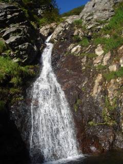 DSC03788.jpg