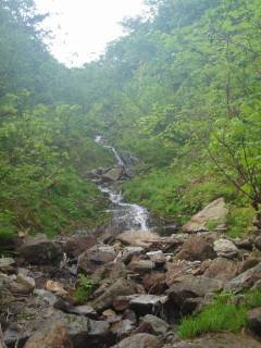 DSC00158.jpg