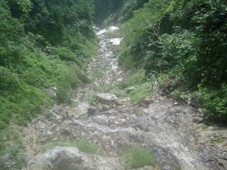 DSC00164.jpg
