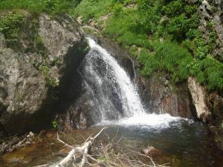 DSC00170.jpg