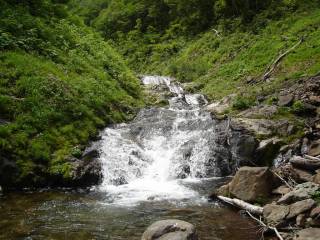 DSC00177.jpg