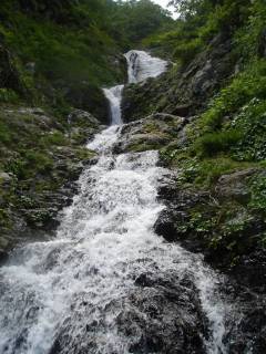 DSC00185.jpg