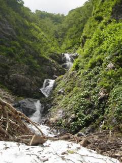 DSC00187.jpg