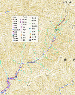 トヨニ岳南峰南面沢.jpg