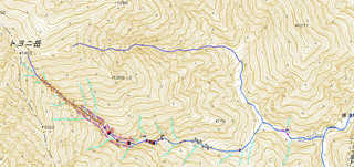トヨニ岳南峰南東面直登沢.jpg