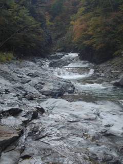 DSC03873.jpg