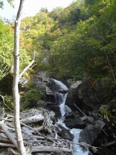 DSC03882.jpg