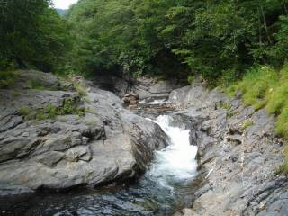DSC03355.jpg