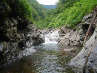 DSC03361.jpg