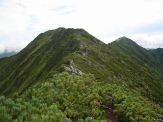 DSC03394.jpg