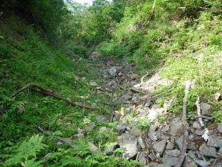 DSC03338.jpg