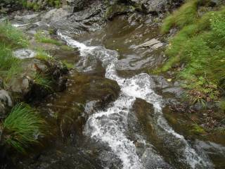 DSC03347.jpg