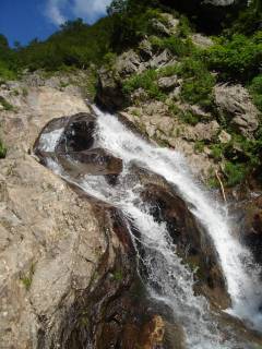 DSC03229.jpg