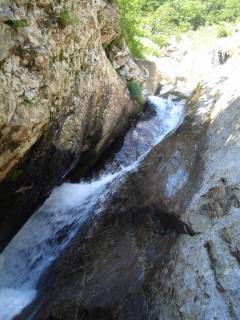DSC03231.jpg