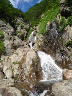 DSC03240.jpg