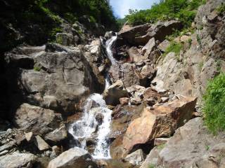 DSC03242.jpg