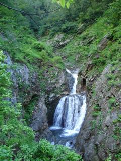 DSC03100.jpg