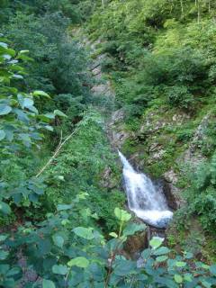 DSC03105.jpg