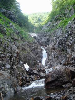 DSC03110.jpg