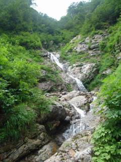 DSC03122.jpg