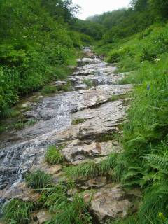 DSC03137.jpg
