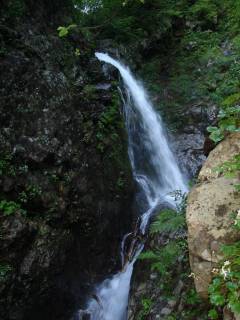 DSC03156.jpg