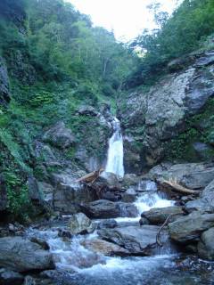 DSC03161.jpg