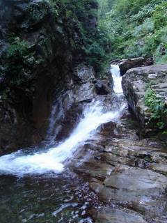 DSC03160.jpg