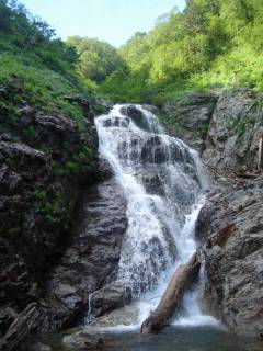 DSC03170.jpg