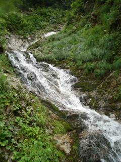 DSC03183.jpg