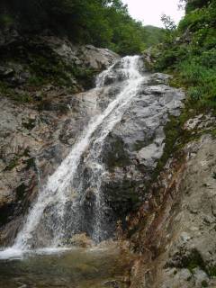 DSC03185.jpg