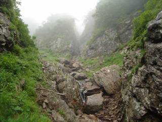 DSC03201.jpg