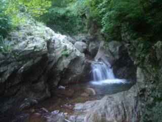 DSC02853.jpg