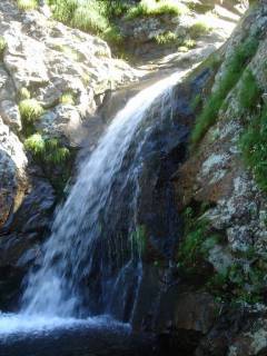 DSC02870.jpg